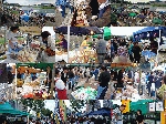 20101003_top_image_1.gif
