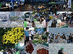 20101003_top_image_5.gif